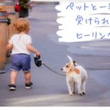 ペットと受けられる無料ヒーリング